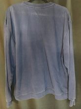 Load image into Gallery viewer, Vintage Disney Magical Gatherings Sweater
