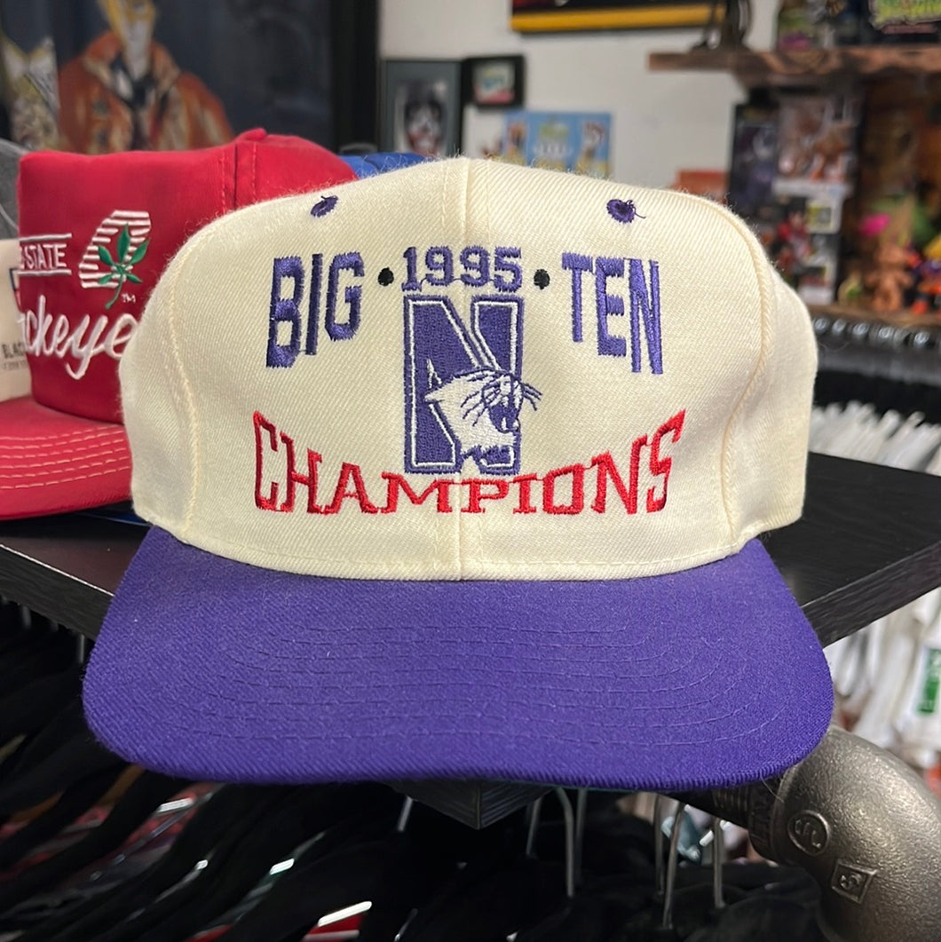 ‘95 Big Ten Champions - Northwestern