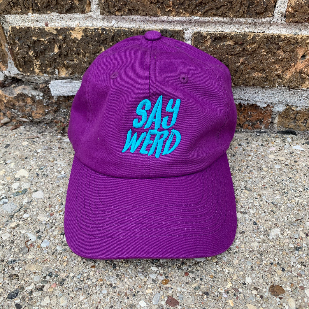 SayWerd Hat ( Purple & Seafoam )